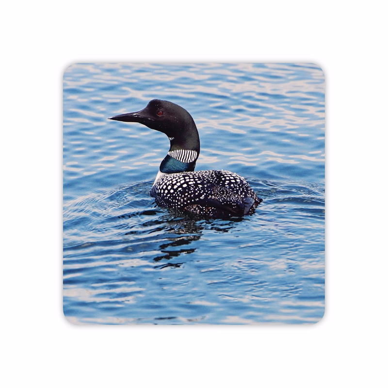 Custom Full Color Square Round Paper Coaster MOQ500 3.5in