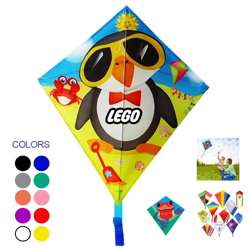 Recycled EcoFly Delta Kite 1