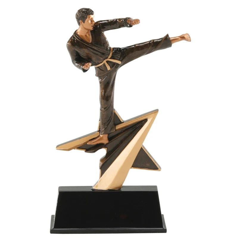Karate Star Power Resin Figure 1