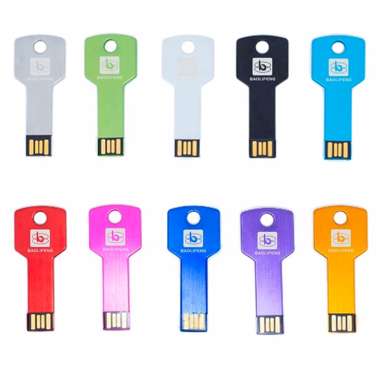 Key Shaped USB Flash Drive