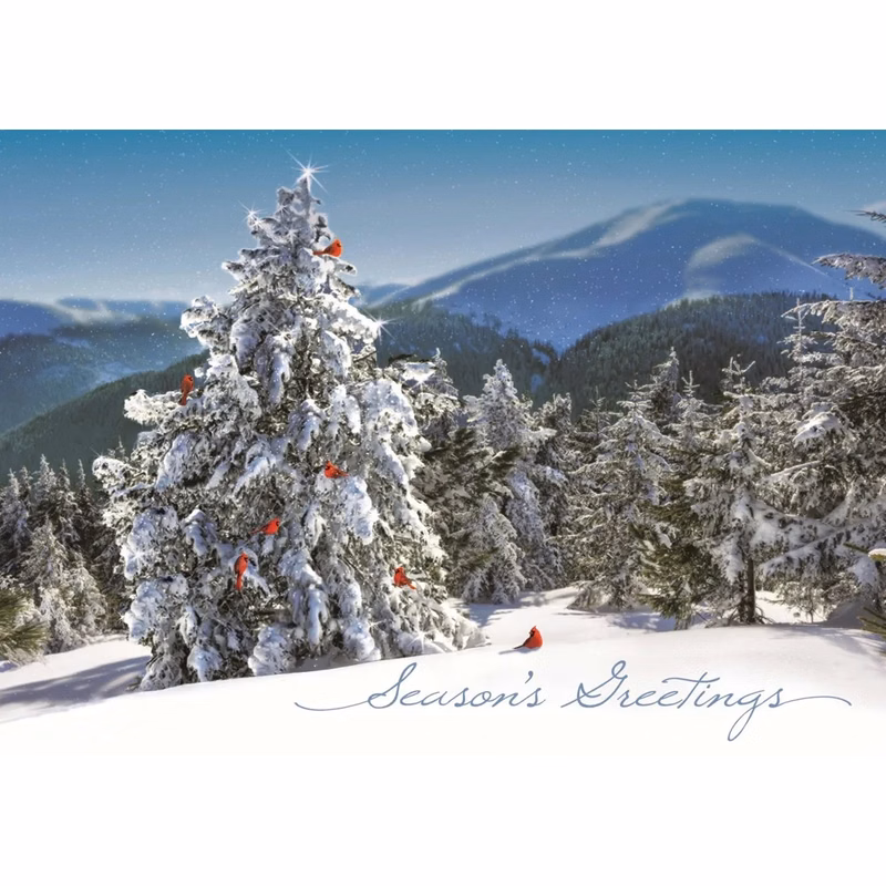 Fresh View Holiday Greeting Cards