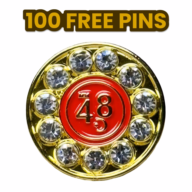 Rhinestone Pin