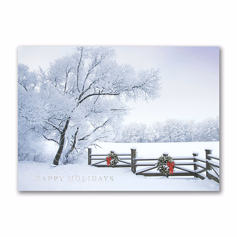 Frosty Winter Scene Holiday Card