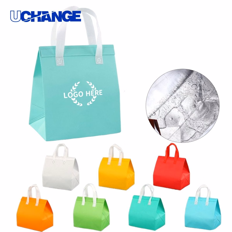 Insulated Non-Woven Cooler Bag Organizer