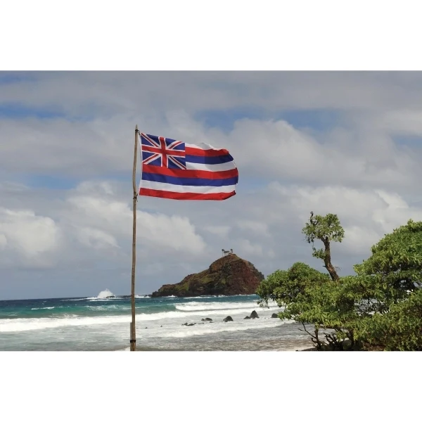 Hawaii Official Flag 1