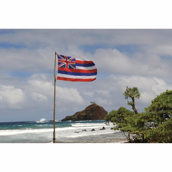 Hawaii Official Flag