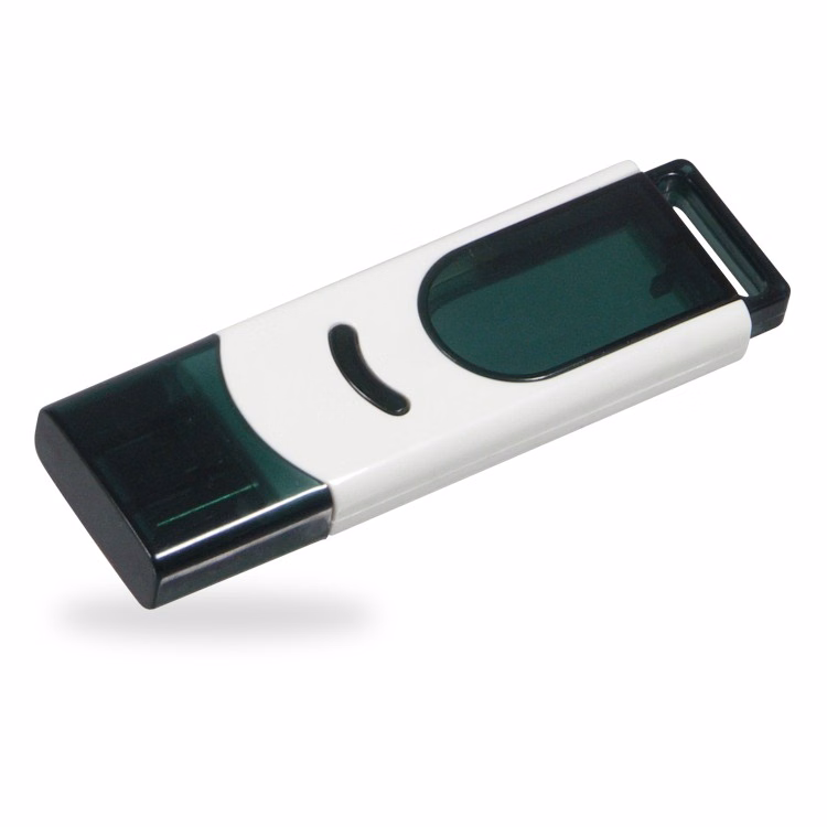 1000FMS - Flash Memory Drive V2.0