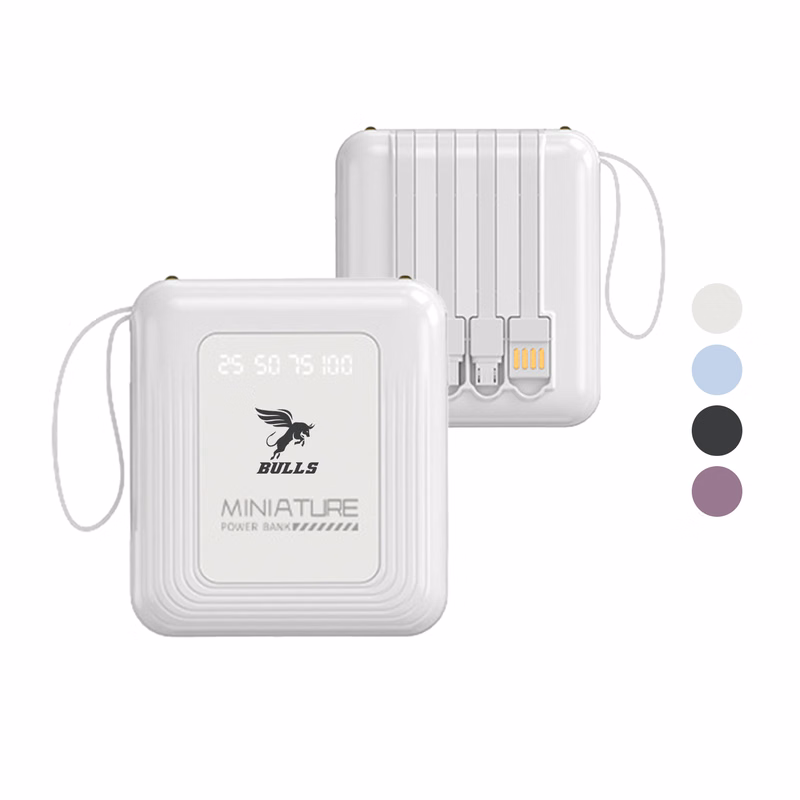 10000mAh Portable Power Bank with Charging Cable