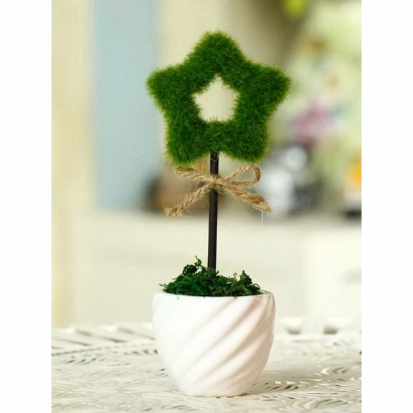 Hollow Star Table Plants