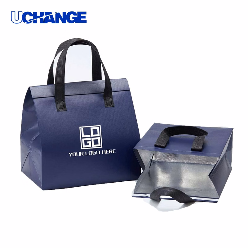 Colorful Insulated Reusable Lunch Tote