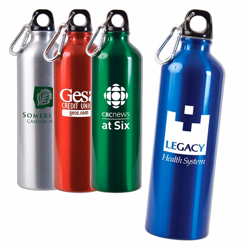 17oz Metal Water Bottle with Carabiner