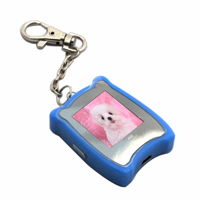 RSX28 Digital Photo Frame