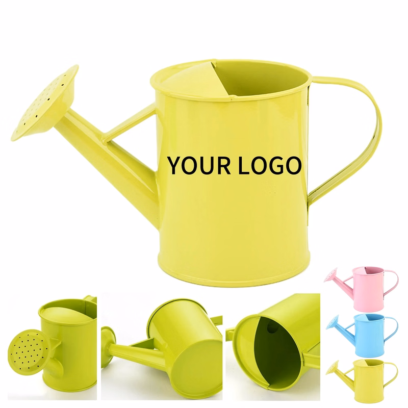 Iron Watering Can