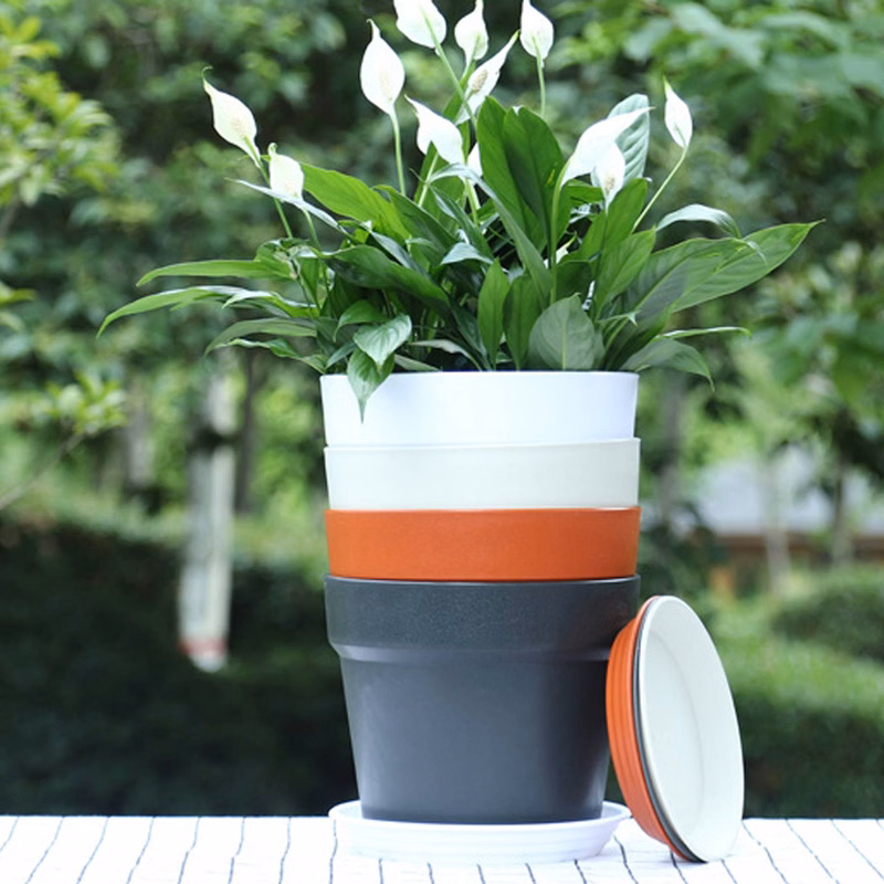Plant Pot W/ Drainage Hole