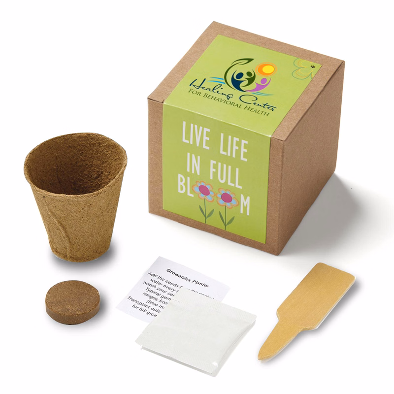 Inspirational Live Life in Full Bloom Planter in Kraft Gift Box