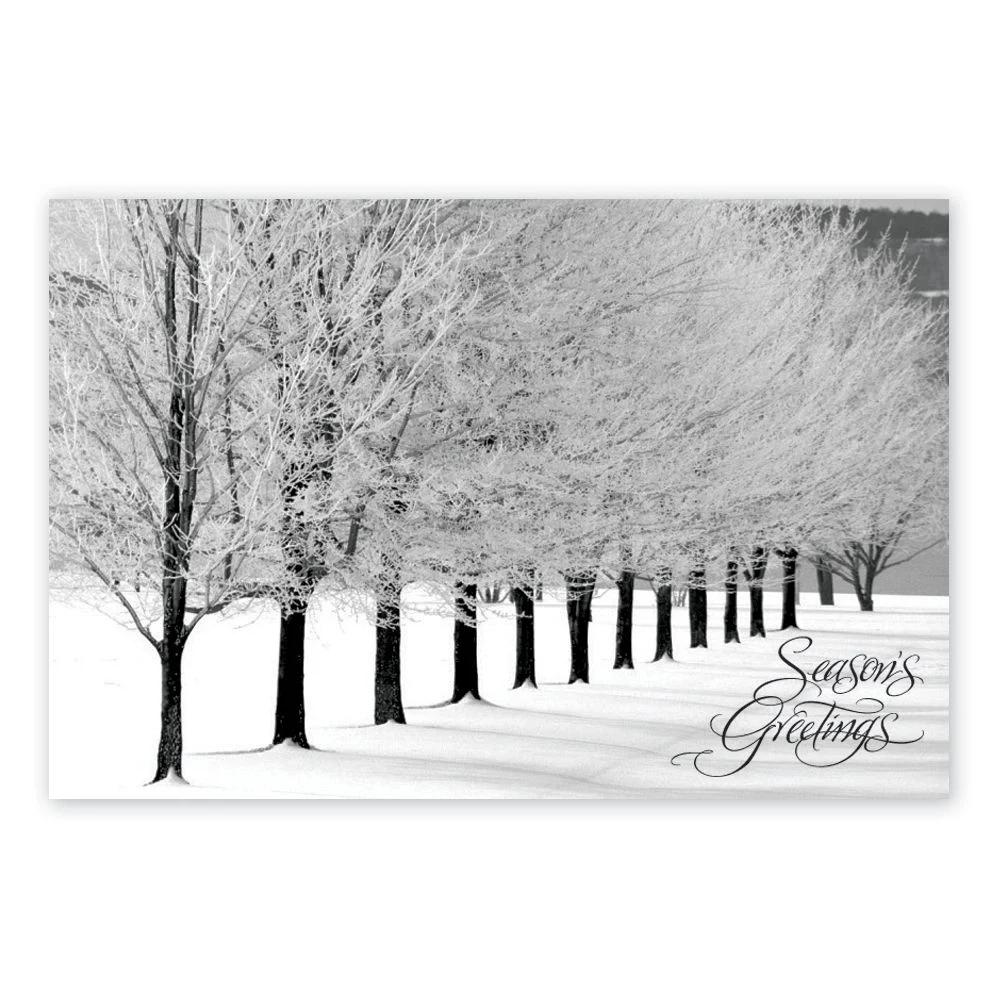 Snowy Arbor Avenue Holiday Postcards 1