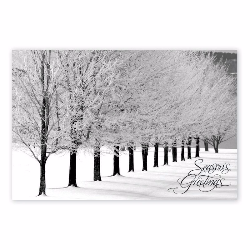 Snowy Arbor Avenue Holiday Postcards