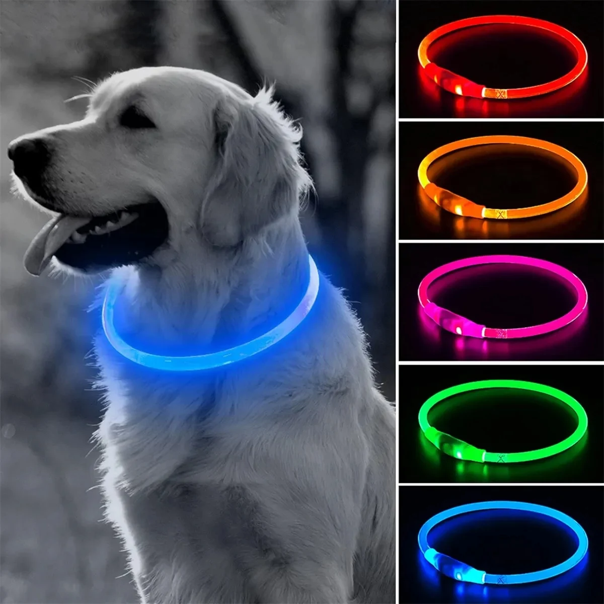 Brightest Light Up Dog Collars LED USB Rechargeable 1