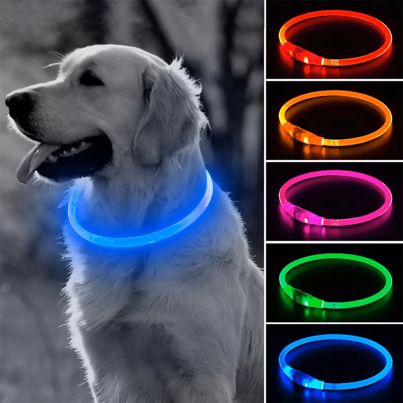 Brightest Light Up Dog Collars LED USB Rechargeable