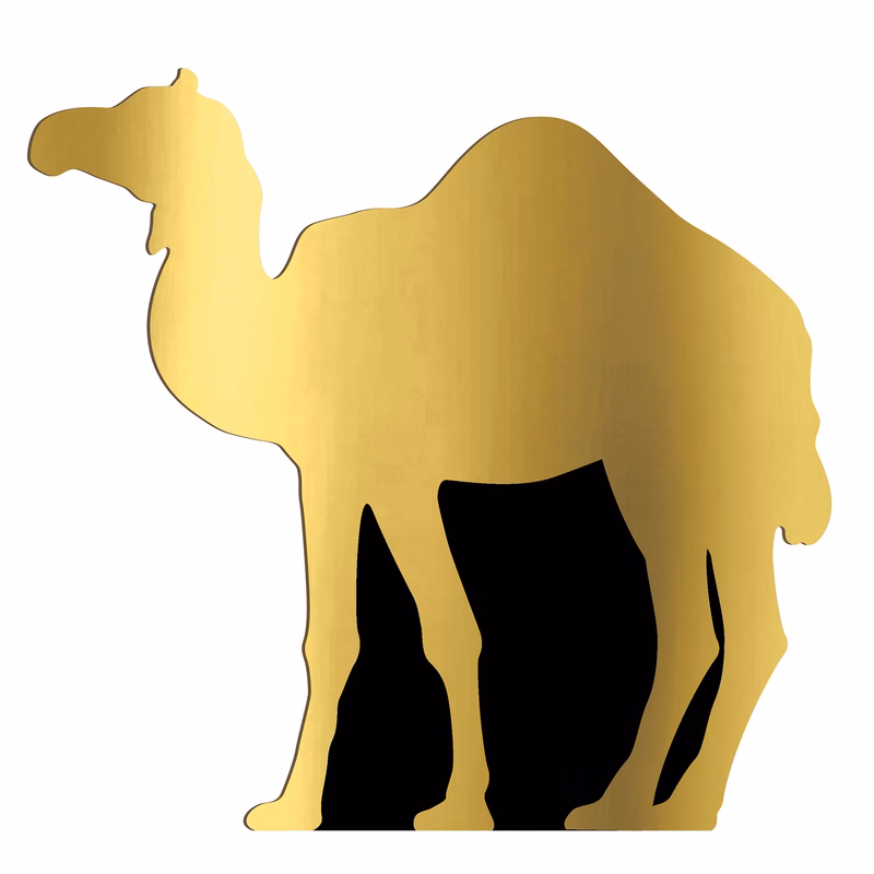 Camel Stand-Up
