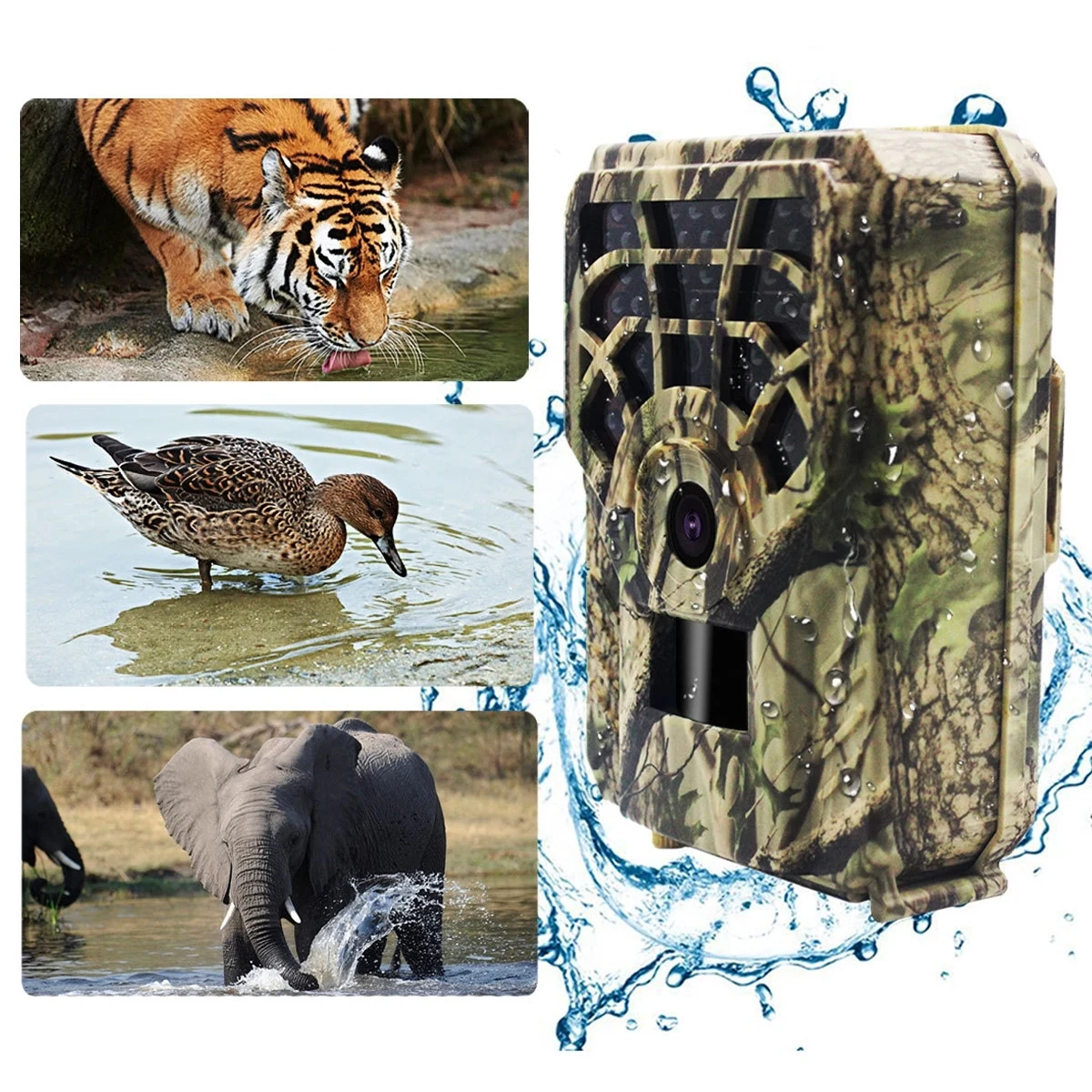 Trail Game Camera 5MP 720P 1