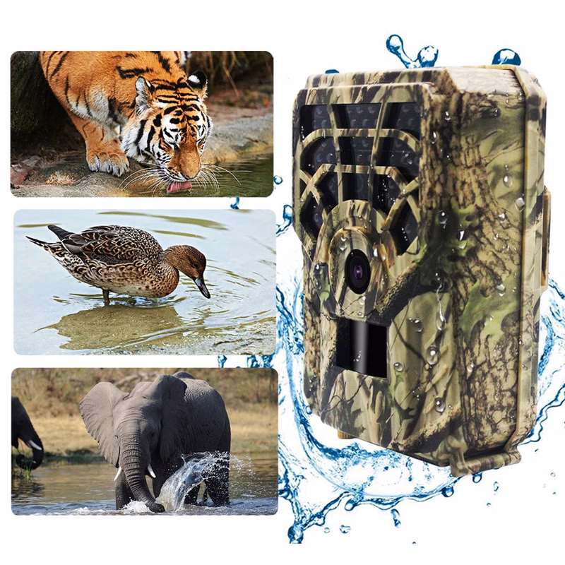 Trail Game Camera 5MP 720P