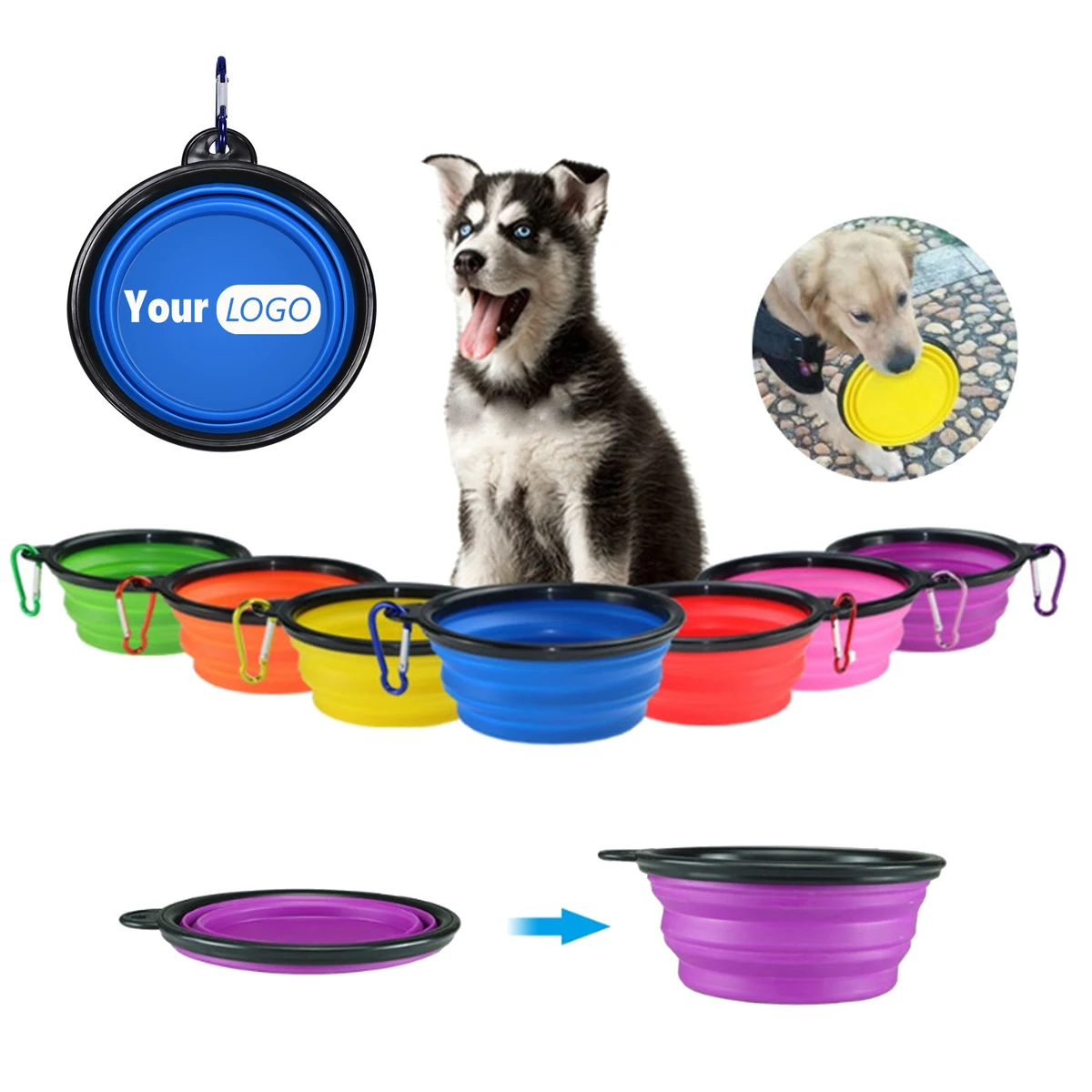 12 OZ Collapsible Pet Dog Bowl with Carabiner 1