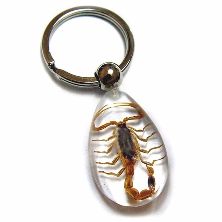 Amber Insect Keychain-Scorpion