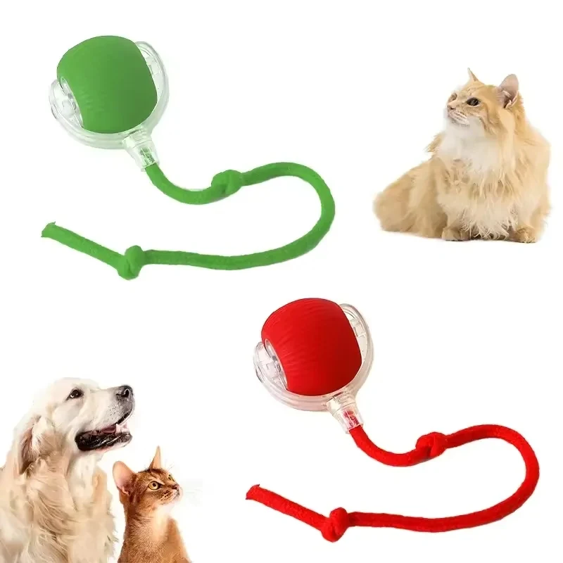 Automatic Teasing Cat Ball 1