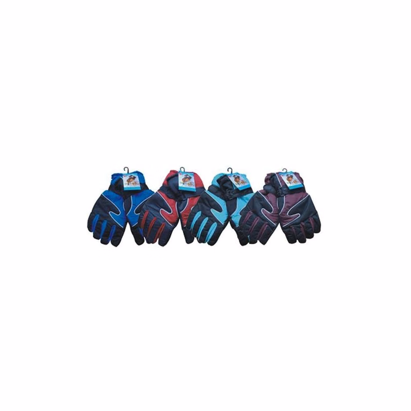 Adult Ski Gloves Assorted