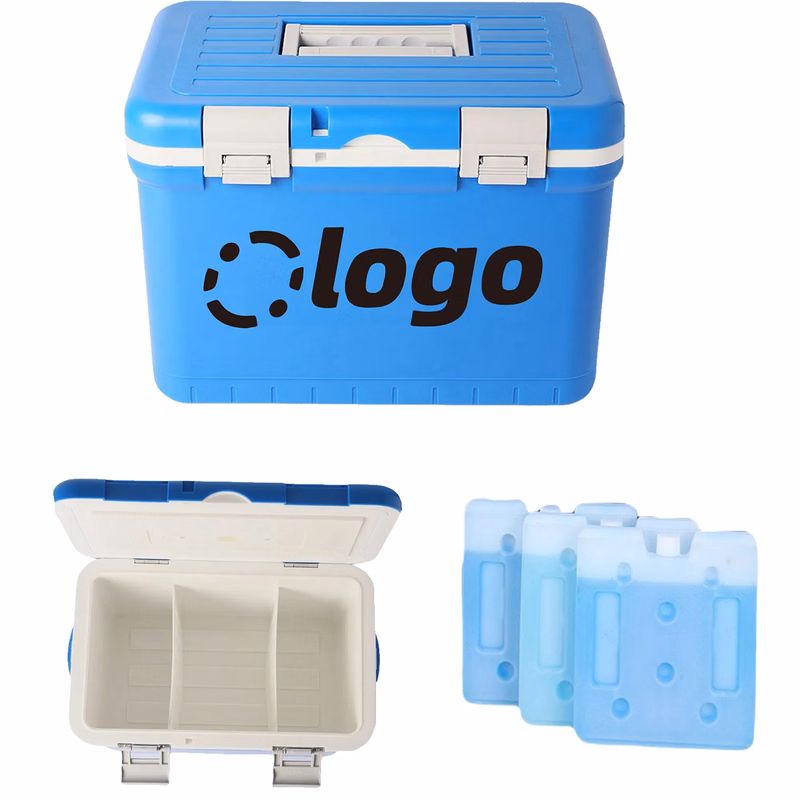 Portable Insulated Medicine Cooler Kit MOQ 2