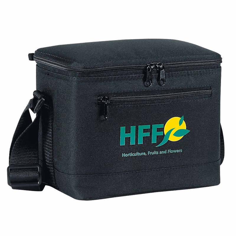 Two-tone Insulated 6 Pack Cooler