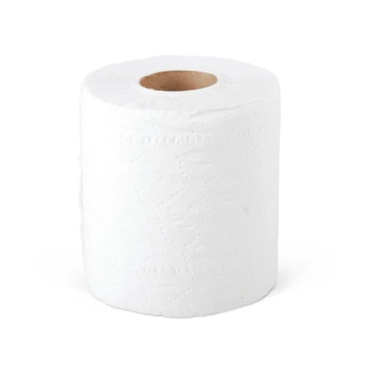 Toilet Paper Rolls - 2 Ply 500 Sheets 1