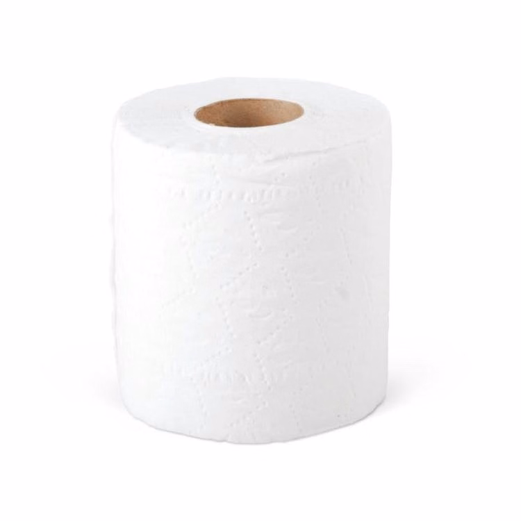 Toilet Paper Rolls - 2 Ply 500 Sheets
