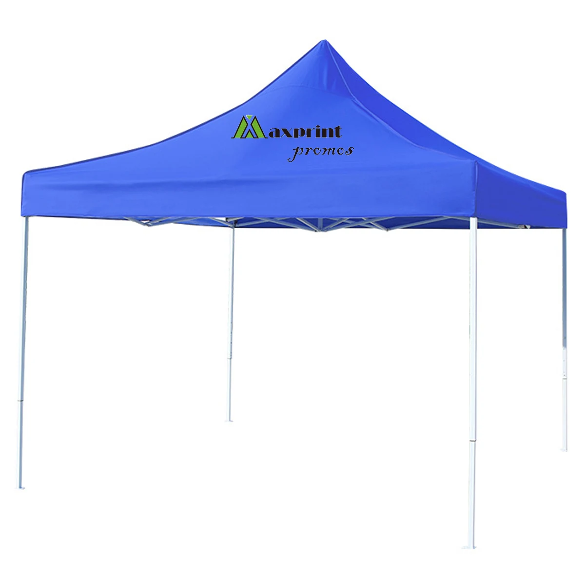 Portable Canopy Tent 10' 1