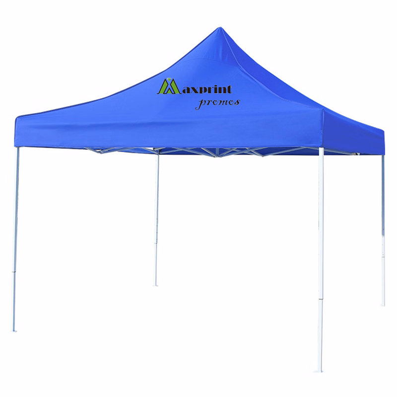 Portable Canopy Tent 10'