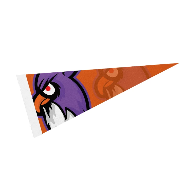 5" x 12" Full Color Felt Pennant - with Strip 1