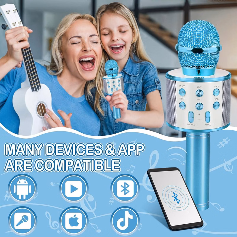 Promotek iBank® Bluetooth Karaoke Microphone