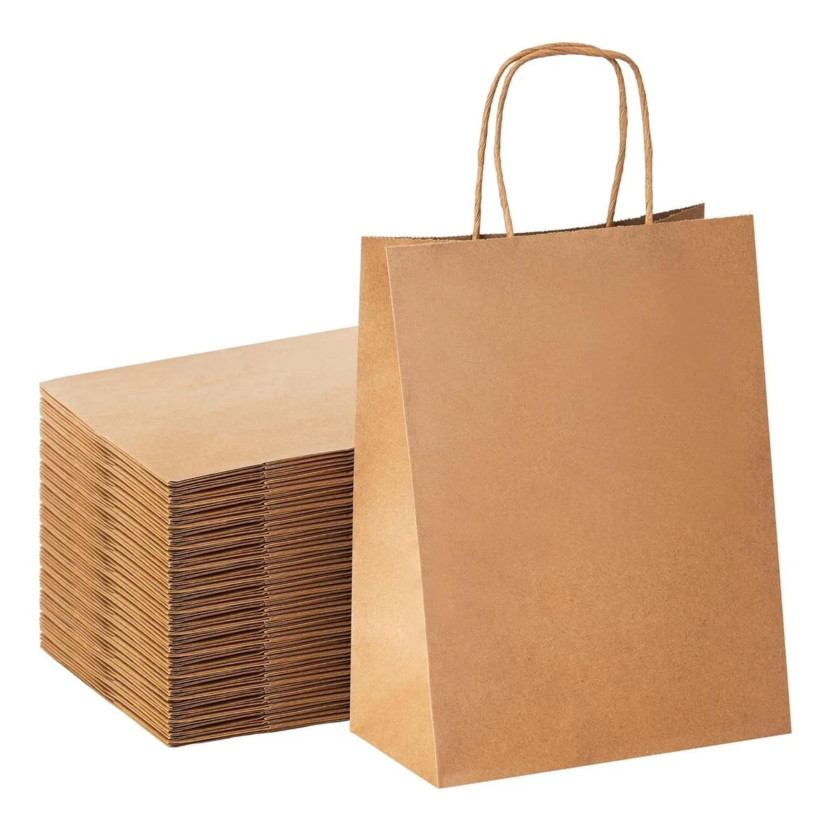 Eco Kraft Paper Bags with Twisted Handles 1