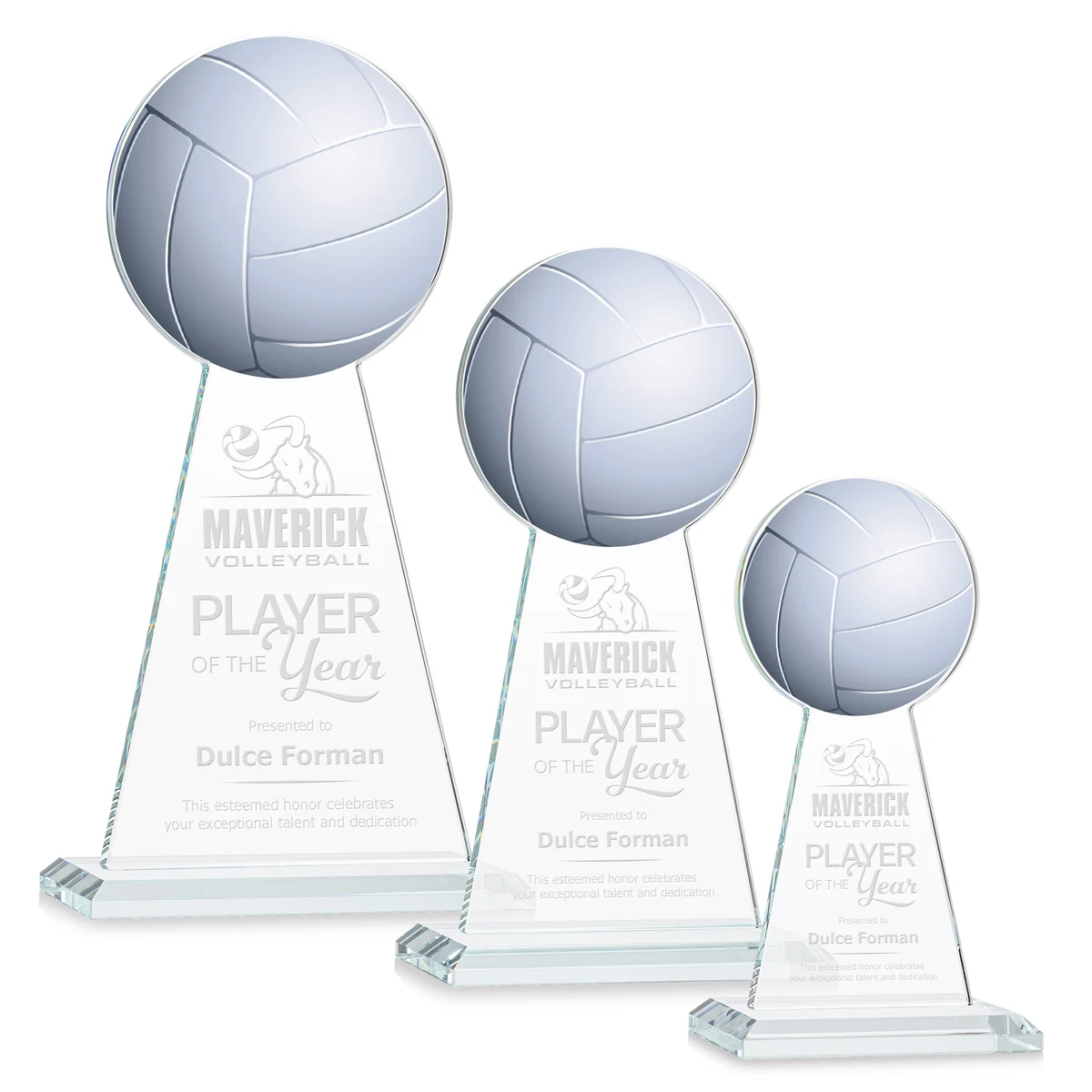 Edenwood Volleyball Award - Clear 1