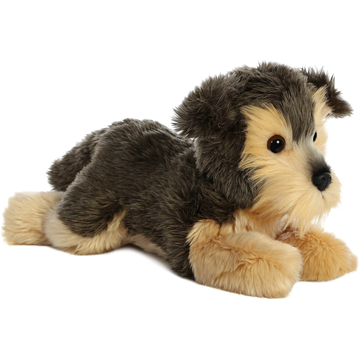 12" Yorky 1