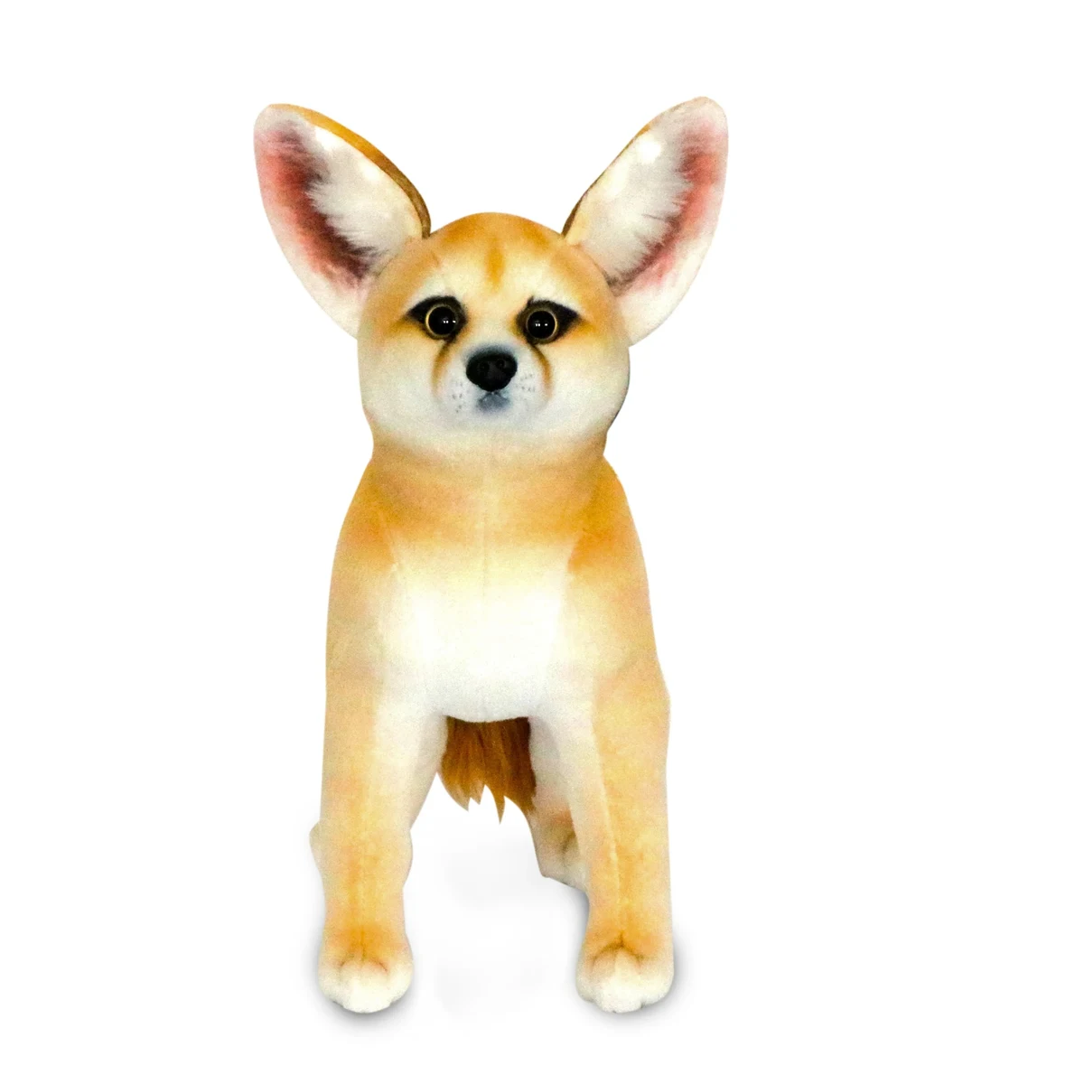 Fennec Fox 1