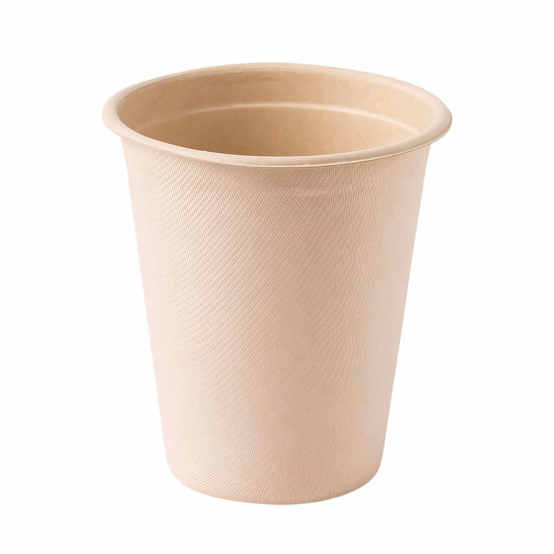 8oz Biodegradable Sugarcane Pulp Paper Cups with Lids