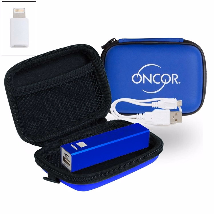 Rectangular Case w/ UL Listed Aluminum Power Pro Bank & Adapter