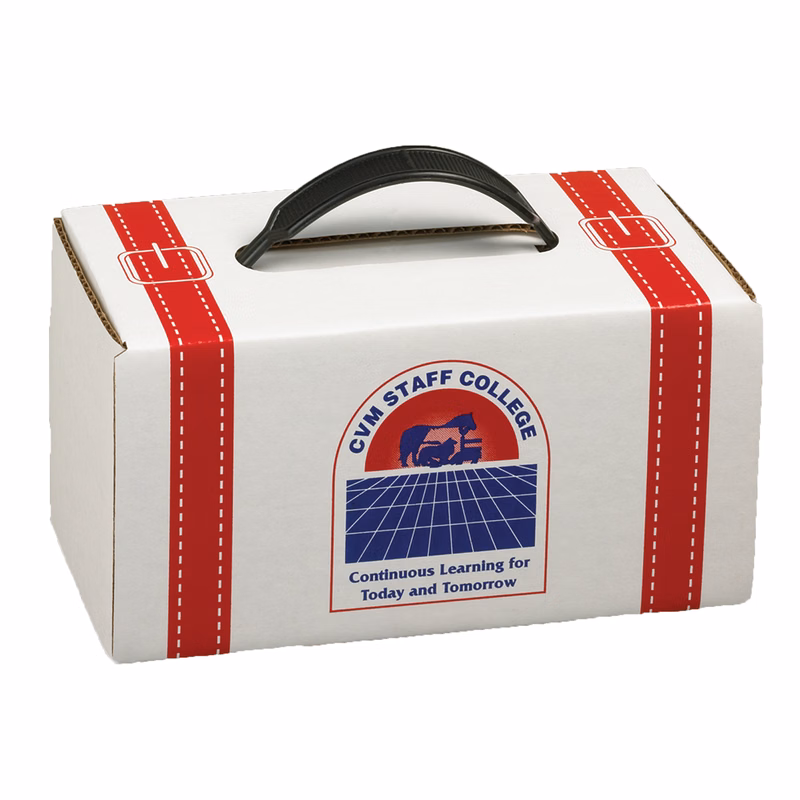 7 1/2" x 4" x 4" - B-Flute Box with Handle
