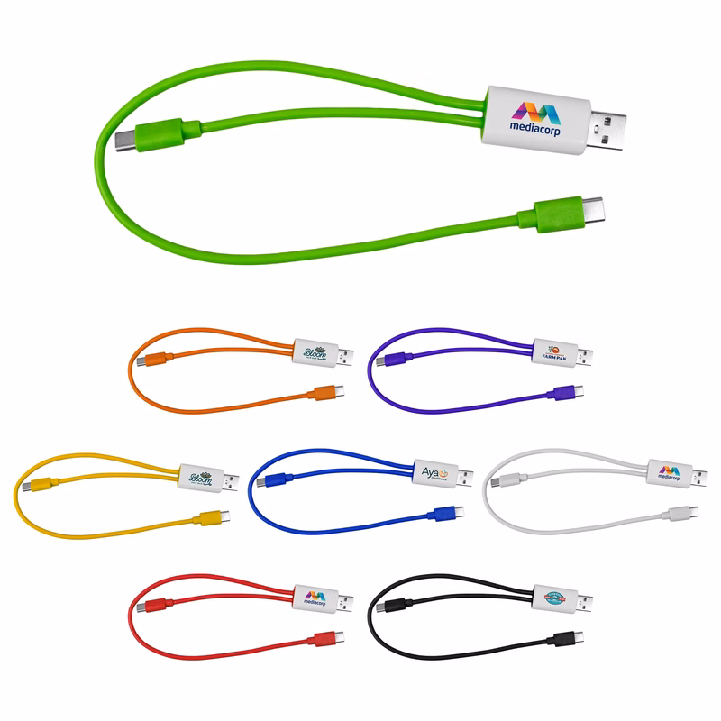 Dual Input A + C to C Accent Cable