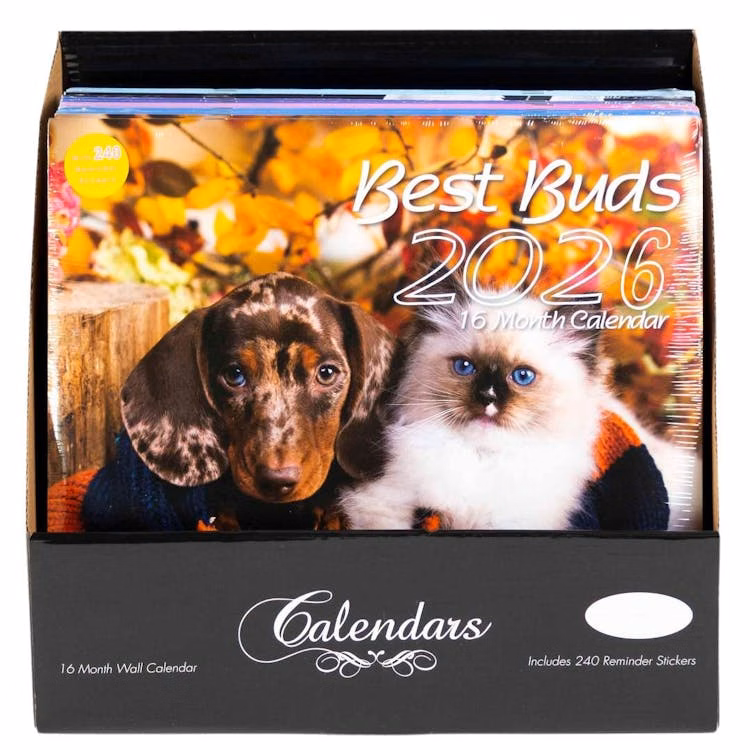 2026 Wall Calendar - 11 x 12 Inches 6 Assorted Designs