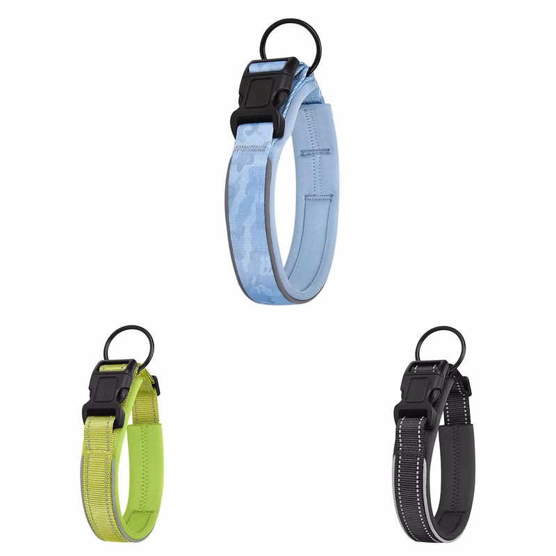 Pet Collars