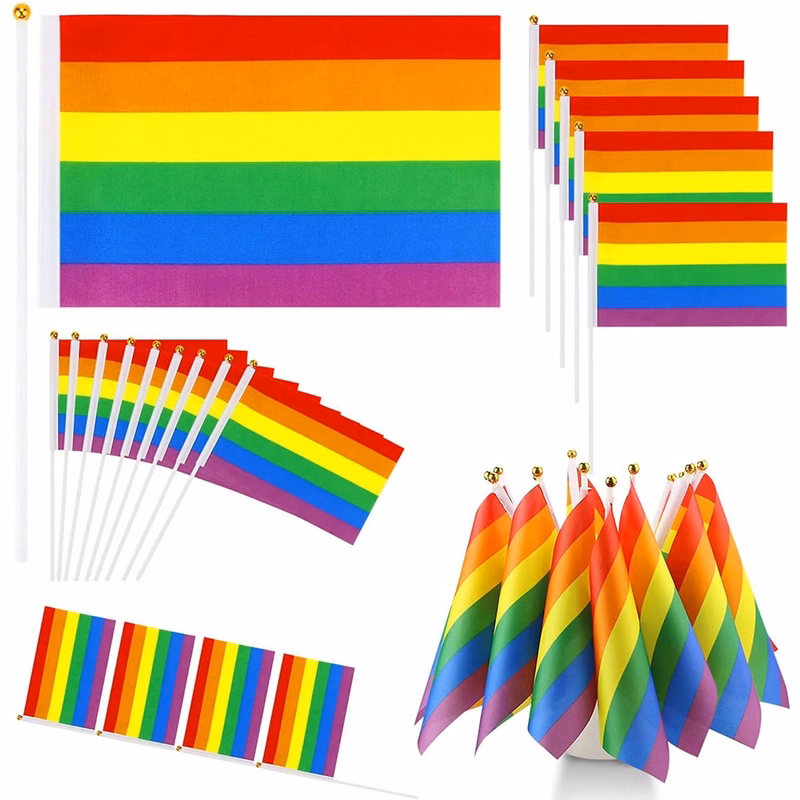 Small Mini Hand Held Rainbow Flag
