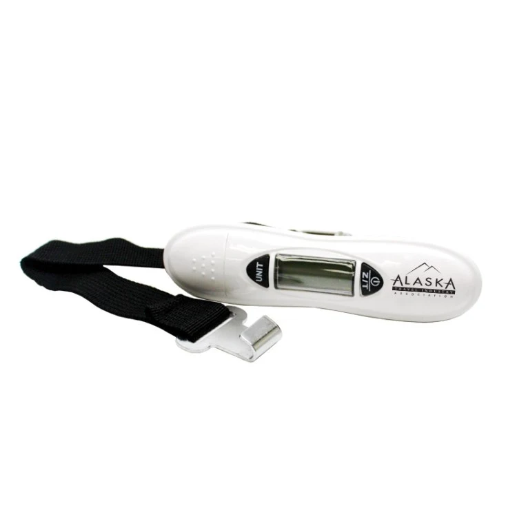 Digital Travel Scale 1